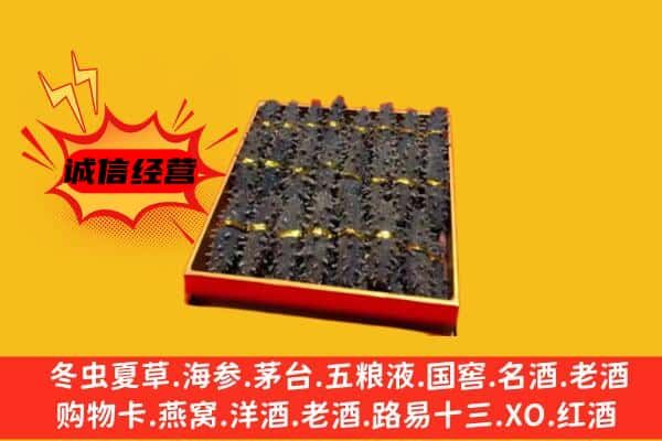 新北区回收海参